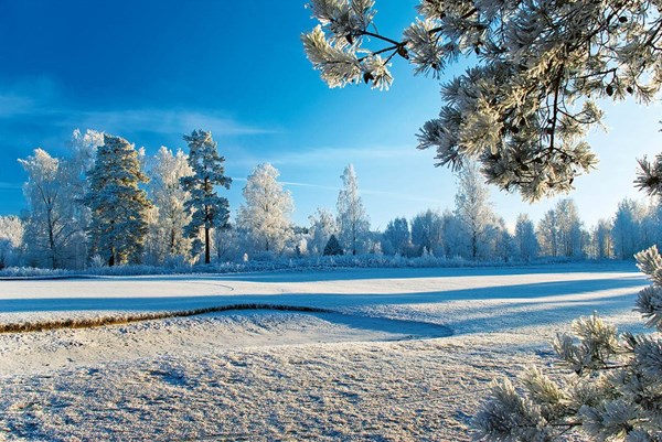 Obrázky: GOLF, nástěnný kalendář 485x340 mm, Obrázek 14