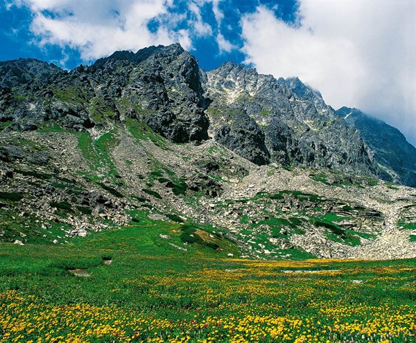 Obrázky: TATRY, nástenný kalendár 330x330 mm, Obrázek 8